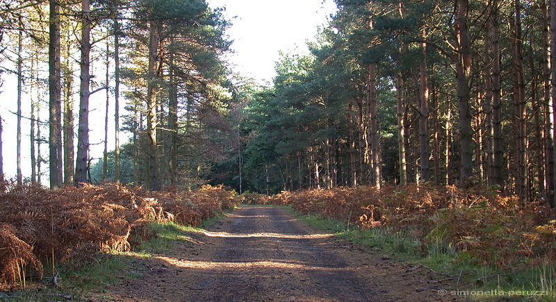 Escursione in Cumbria e Northumberland - UK